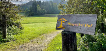 4Soft company weekend 2021