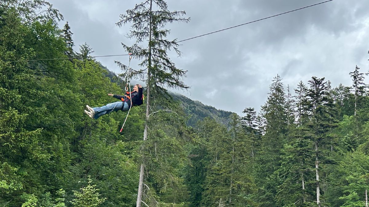 Flying Fox